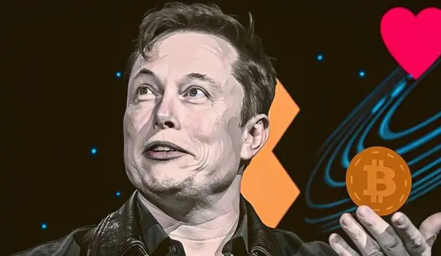Elon Musk, X’te kripto dolandırıcılarına taş attı: “Güzel kız kripto derse, engelle!” OneCoin ve daha fazla dolandırıcılık hikayesi burada!
